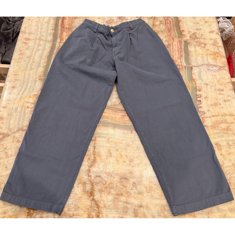 Big Bud Press Mens Wide Leg Pleated Trouser Pants Gray Mid Rise Relaxed Fit S